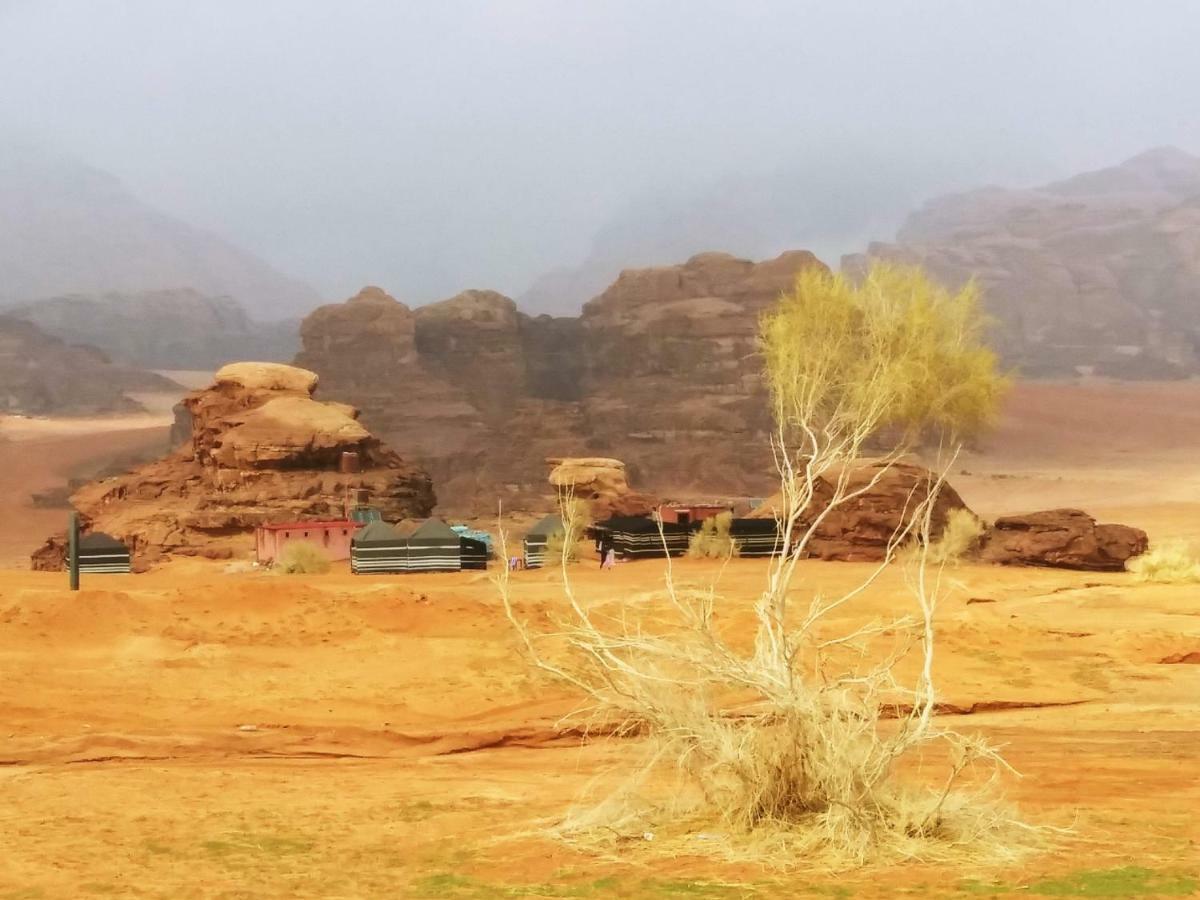 Bedouin Culture Camp Wadi Rum Ngoại thất bức ảnh